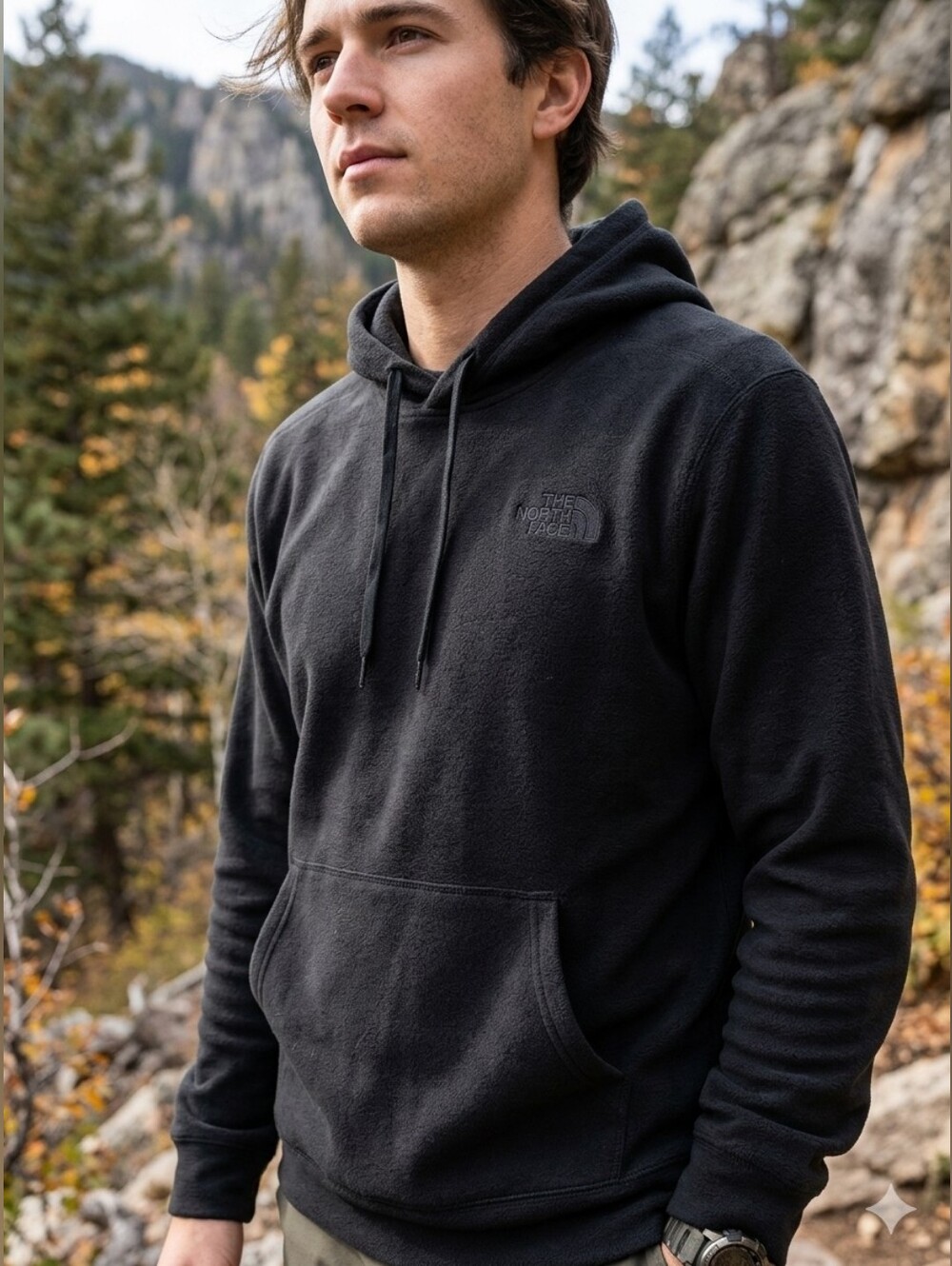 The North Face Black Fleece Hooded Pullover